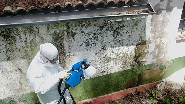 Top rated local Attic Mold Remediation specialists in Bainbridge, PA